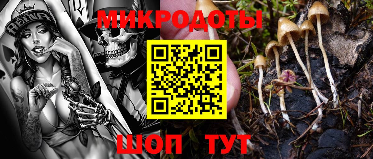 Галлюциногенные грибы MAGIC MUSHROOMS  Вход с VPN  Нижнеудинск 